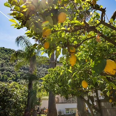 Casa Beatrice Frühstückspension Sorrent