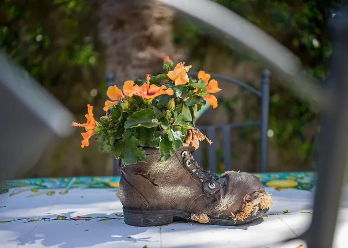 Bed & Breakfast Casa Beatrice Sorrento