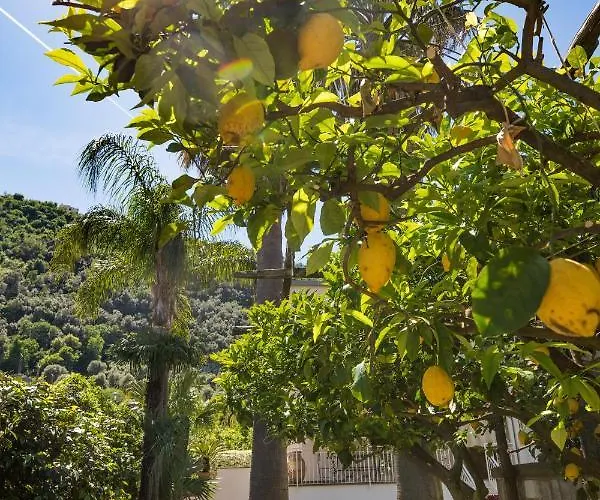 Casa Beatrice Bed & Breakfast Sorrento