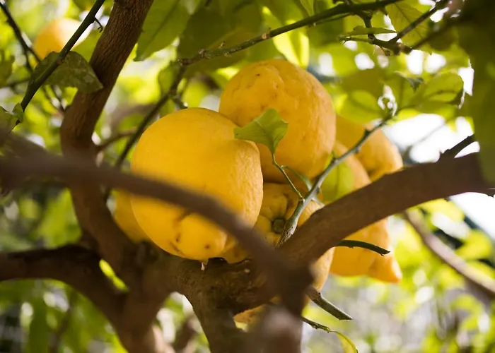 Couette-café Casa Beatrice