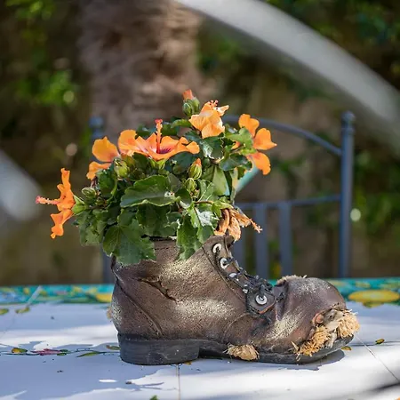 ベッド・アンド・ブレックファスト Casa Beatrice ソレント