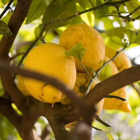 ベッド・アンド・ブレックファスト Casa Beatrice